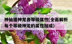 神仙道神龍各等級屬性，全面解析每個等級神龍的屬性加成