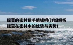 提莫的密林獵手值錢嗎，詳細解析提莫在密林中的優勢與劣勢