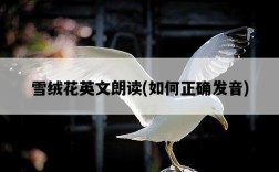 雪絨花英文朗讀，如何正確發音