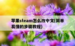 蘋果steam怎么改中文，簡單易懂的步驟教程