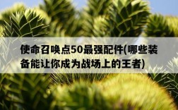 使命召喚點50最強配件，哪些裝備能讓你成為戰場上的王者