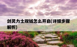 劍靈力士雙鉞怎么開啟，詳細步驟解析