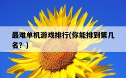 最難單機游戲排行，你能排到第幾名？