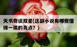 天書奇談雙星，這部小說有哪些值得一讀的亮點？