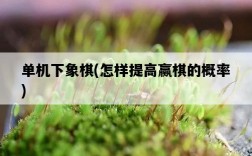 單機下象棋，怎樣提高贏棋的概率