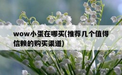 wow小蛋在哪買，推薦幾個值得信賴的購買渠道