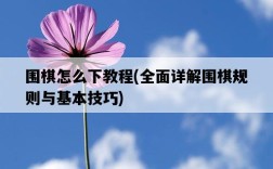 圍棋怎么下教程，全面詳解圍棋規則與基本技巧