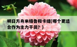 明日方舟米格魯和卡緹，哪個更適合作為主力干員？