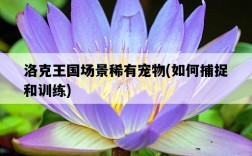 洛克王國場景稀有寵物，如何捕捉和訓練