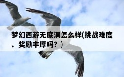 夢幻西游無底洞怎么樣，挑戰難度、獎勵豐厚嗎？