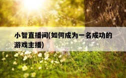 小智直播間，如何成為一名成功的游戲主播