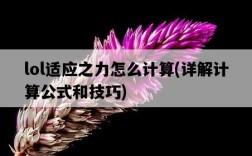 lol適應之力怎么計算，詳解計算公式和技巧