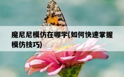 魔尼尼模仿在哪學，如何快速掌握模仿技巧