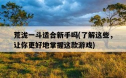 荒瀧一斗適合新手嗎，了解這些，讓你更好地掌握這款游戲