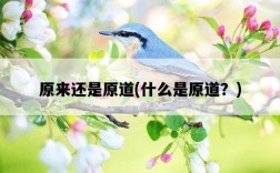 原來還是原道，什么是原道？
