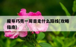 魔導巧殼一周目走什么路線，攻略指南