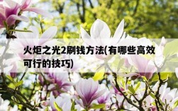 火炬之光2刷錢方法，有哪些高效可行的技巧