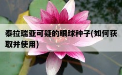 泰拉瑞亞可疑的眼球種子，如何獲取并使用