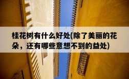 桂花樹有什么好處，除了美麗的花朵，還有哪些意想不到的益處