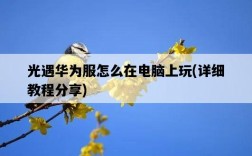 光遇華為服怎么在電腦上玩，詳細教程分享