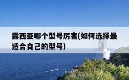 露西亞哪個型號厲害，如何選擇最適合自己的型號