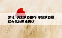 黑魂3騎士武器推薦，哪些武器最適合你的游戲風格