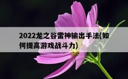 2022龍之谷雷神輸出手法，如何提高游戲戰斗力