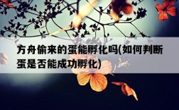方舟偷來的蛋能孵化嗎，如何判斷蛋是否能成功孵化