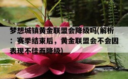 夢想城鎮黃金聯盟會降級嗎，解析：賽季結束后，黃金聯盟會不會因表現不佳而降級