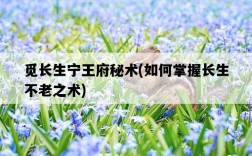 覓長生寧王府秘術，如何掌握長生不老之術