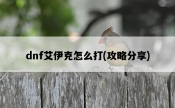dnf艾伊克怎么打,攻略分享
