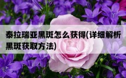 泰拉瑞亞黑斑怎么獲得，詳細解析黑斑獲取方法