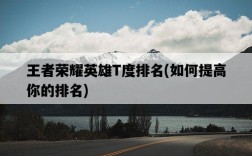 王者榮耀英雄T度排名，如何提高你的排名