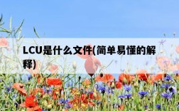 LCU是什么文件，簡單易懂的解釋