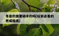 冬泉豹需要騎術豹嗎，玩家必看的養成指南