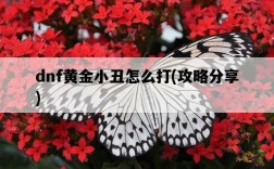 dnf黃金小丑怎么打，攻略分享