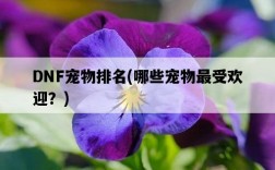 DNF寵物排名，哪些寵物最受歡迎？