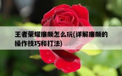 王者榮耀廉頗怎么玩，詳解廉頗的操作技巧和打法