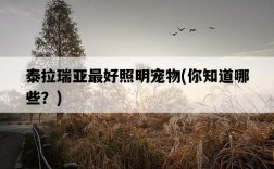 泰拉瑞亞最好照明寵物，你知道哪些？