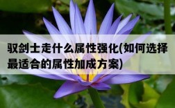 馭劍士走什么屬性強化，如何選擇最適合的屬性加成方案
