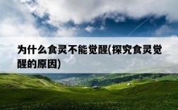 為什么食靈不能覺醒，探究食靈覺醒的原因