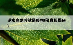 逆水寒龍吟就是廢物嗎，真相揭秘