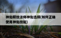 神佑釋放法師神佑選擇，如何正確使用神佑技能