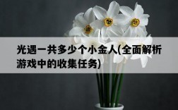 光遇一共多少個小金人，全面解析游戲中的收集任務