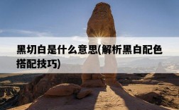 黑切白是什么意思，解析黑白配色搭配技巧