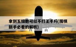 拿到五細胞可以不打王手嗎，圍棋新手必看的解析