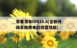 蘋果發布iOS16.6，全新升級系統帶來的驚喜功能