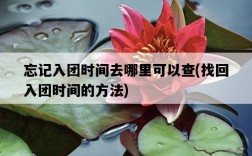 忘記入團時間去哪里可以查，找回入團時間的方法