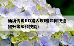 仙境傳說RO獵人攻略，如何快速提升等級和技能