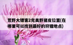 荒野大鏢客2完美野豬皮位置，在哪里可以找到最好的狩獵地點